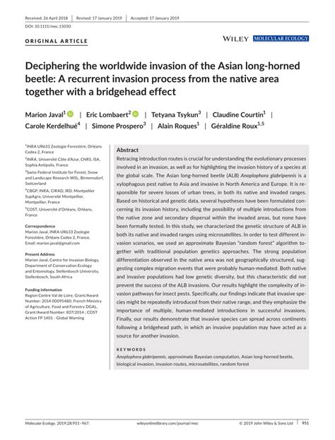 Deciphering the Invasion of Beetles Embedded Within the Epidermis Vision