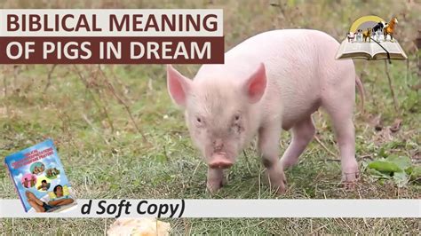 Deciphering the Meaning of a Swine in Reveries