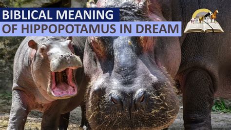 Deciphering the Significance of Dreaming About Consuming a Hippopotamus