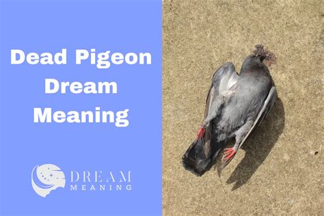 Deciphering the Significance of a Departed Ivory Pigeon within Dreams