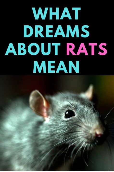 Deciphering the Symbolic Significance of Dreaming about Assuming the Form of a Rat