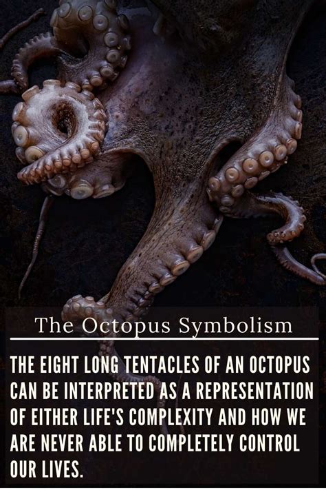 Deciphering the Symbolic Significance of the Octopus in Dreams