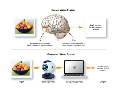 Deciphering the Vision: Practical Steps to Analyze and Comprehend a Pal's Wound in Your Subconscious Experience