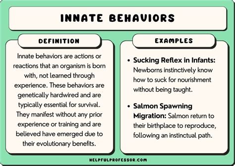 Decoding Aggressive Behavior: Innate Traits or Environmental Factors?
