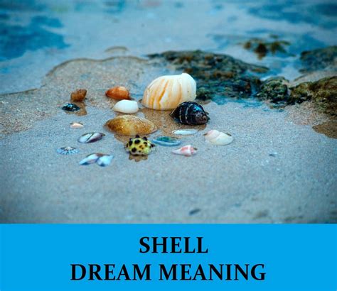 Decoding Different Types of Shell Dreams and Their Messages