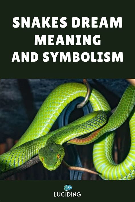 Decoding Dreams: Understanding the Emerald Serpent
