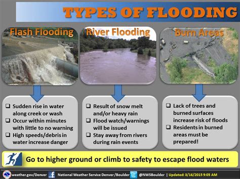 Decoding Various Forms of Inundation in Reveries