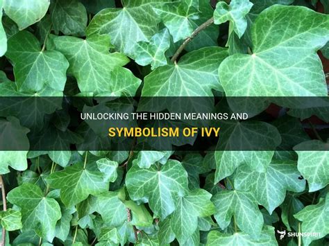 Decoding the Enigma: The Symbolism of Ivy Plants