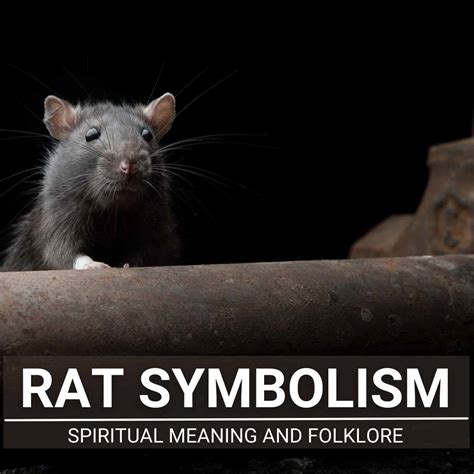 Decoding the Enigmatic Rat Symbol