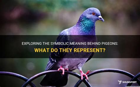 Decoding the Hidden Messages: Exploring Pigeons as Symbolic Figures