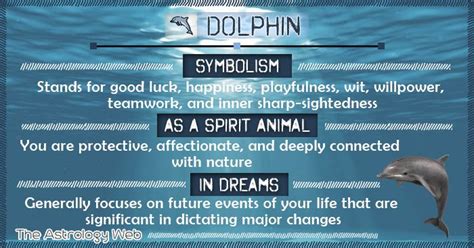 Decoding the Hidden Significance of Dolphin Symbols