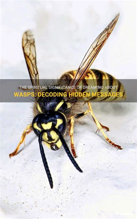 Decoding the Meaning of a Wasp in Dreams