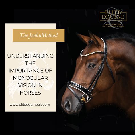 Decoding the Possible Meanings and Significance in Majestic Chestnut Equine Vision