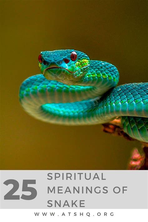 Decoding the Potential Personal Significance of a Slithering Serpent in Your Vision