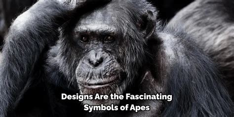 Decoding the Significance: Interpreting the Symbolism of an Enormous Ape