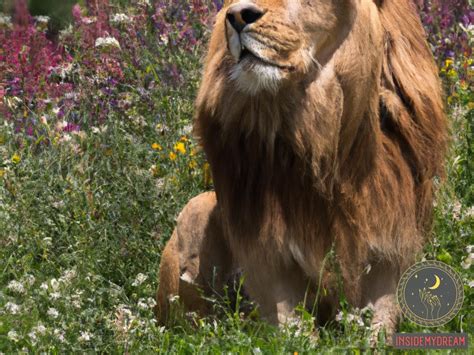 Decoding the Significance of Clawing in Lion Reveries