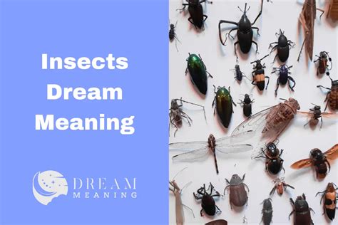 Decoding the Significance of Insect Egg Colorations and Patterns in Dream Imagery