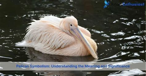 Decoding the Significance of Various Avian Species in Dream Interpretation