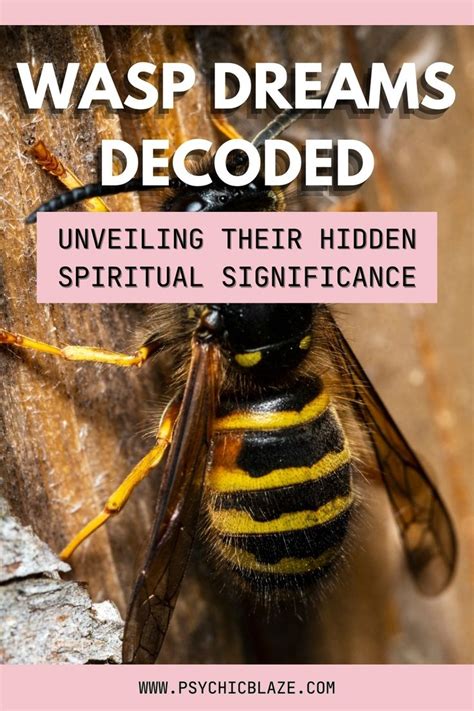 Decoding the Significance of a Deceased Wasp Vision: Unveiling its True Significance