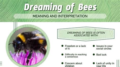 Decoding the Significance of the Bee Symbol