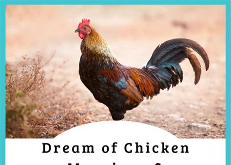 Decoding the Significance of the Pale Fowl in Dreams