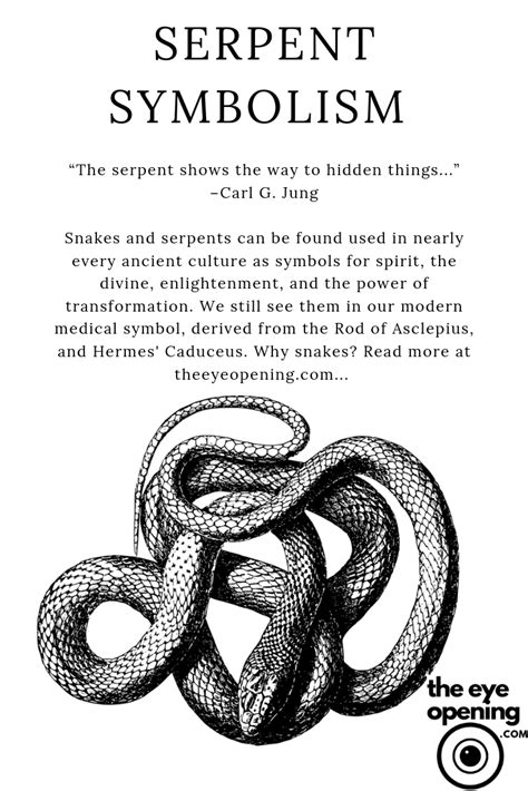 Decoding the Spiritual and Psychological Significance of Serpents