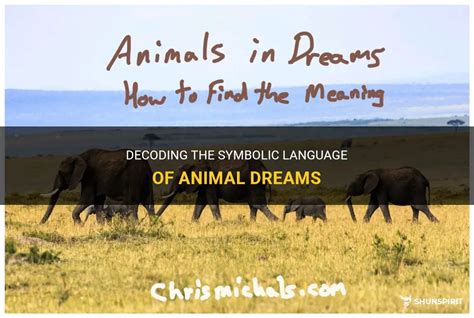 Decoding the Symbolic Significance of Animal Dreams