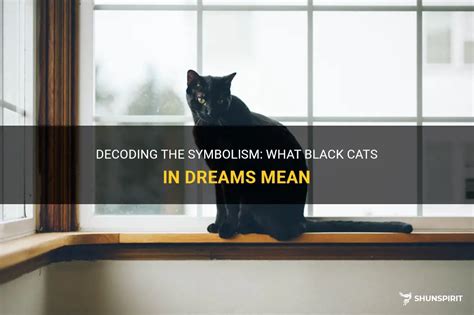 Decoding the Symbolic Significance of Cat Excrement in Dreams