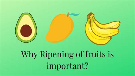 Decoding the Symbolism: The Significance of Ripe Fruit Gone Bad