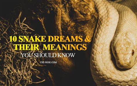 Decoding the Symbolism: Understanding the Meaning Behind Snake Dreams