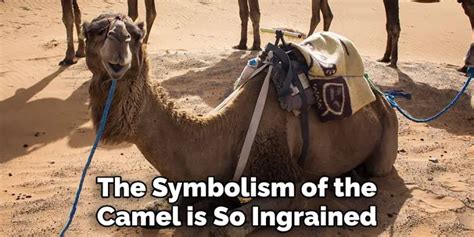 Decoding the Symbolism of an Ailing Dromedary