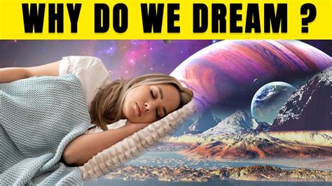 Delving into the Science of Dream Exploration