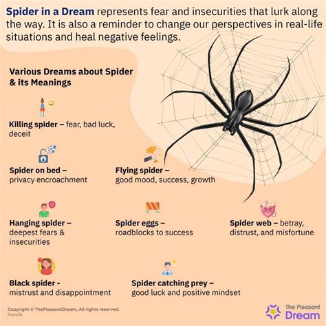 Delving into the Significance of Spider Bite in Dreams