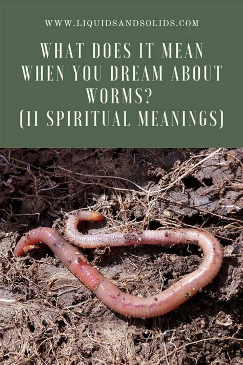 Delving into the Spiritual Significance of Earthworms in Dream Imagery