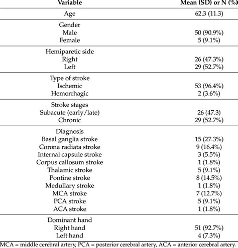 Demographics and Physical Attributes