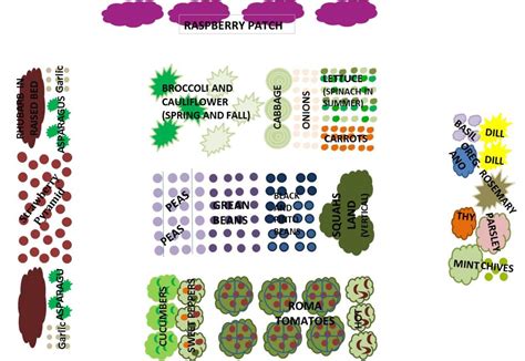 Designing a Well-Planned Garden for Maximum Yield