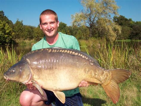 Designing the Ideal Habitat for Your Magnificent Colossal Carp