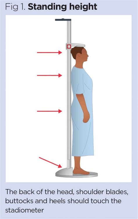 Details on Physical Stature Measurements