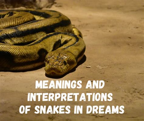 Different Interpretations of Having a Serpent in a Dream