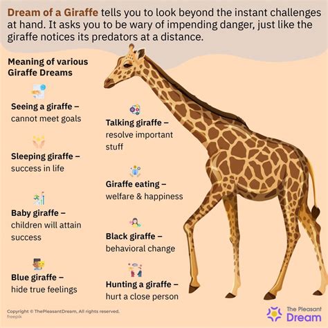 Different Perspectives on Dreaming about Giraffes and Pursuing Them