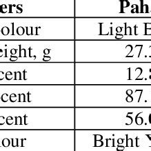 Dimensions and Physical Attributes of Ginger Spyce