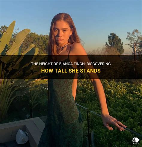 Discover how tall she stands.