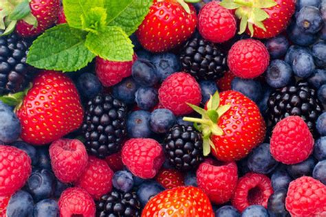 Discover the Health Benefits of Incorporating Berries into Your Daily Diet