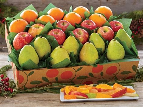 Discover the thrill of gathering your own bountiful fruit