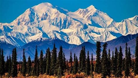 Discovering Denali's Stunning Figure