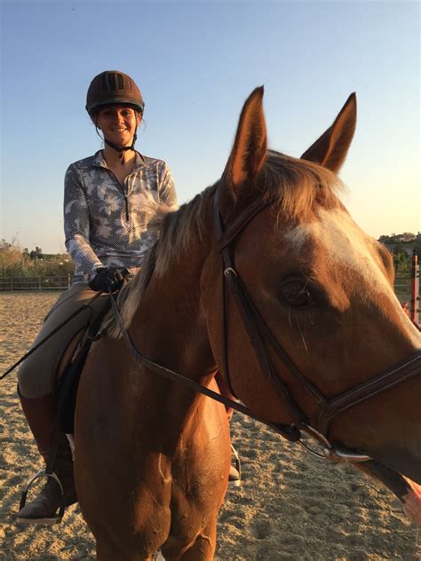 Discovering Various Equestrian Disciplines: Uncovering Your Passion