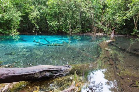 Discovering the Astonishing Natural Treasures of Emerald Lagoon