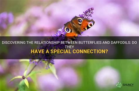 Discovering the Connection Between Butterflies and Personal Growth