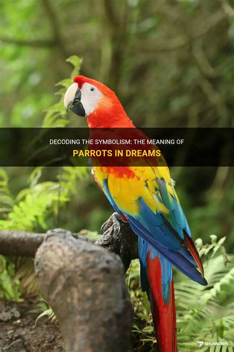 Discovering the Cryptic Significance of Parrots in Decoding Dream Messages