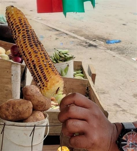 Discovering the Culinary Flexibility of Maize